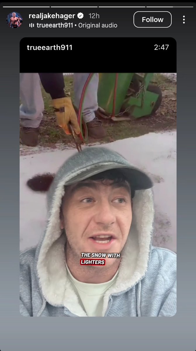 Gabriel 🔻 tweet media