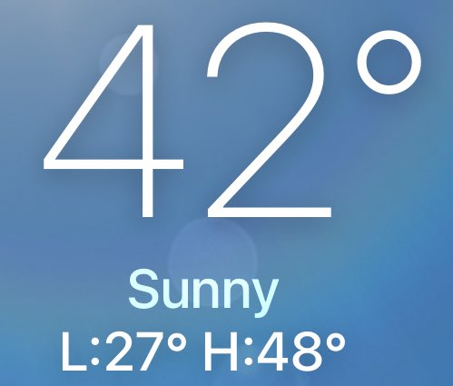 buzz from the ocean tweet media