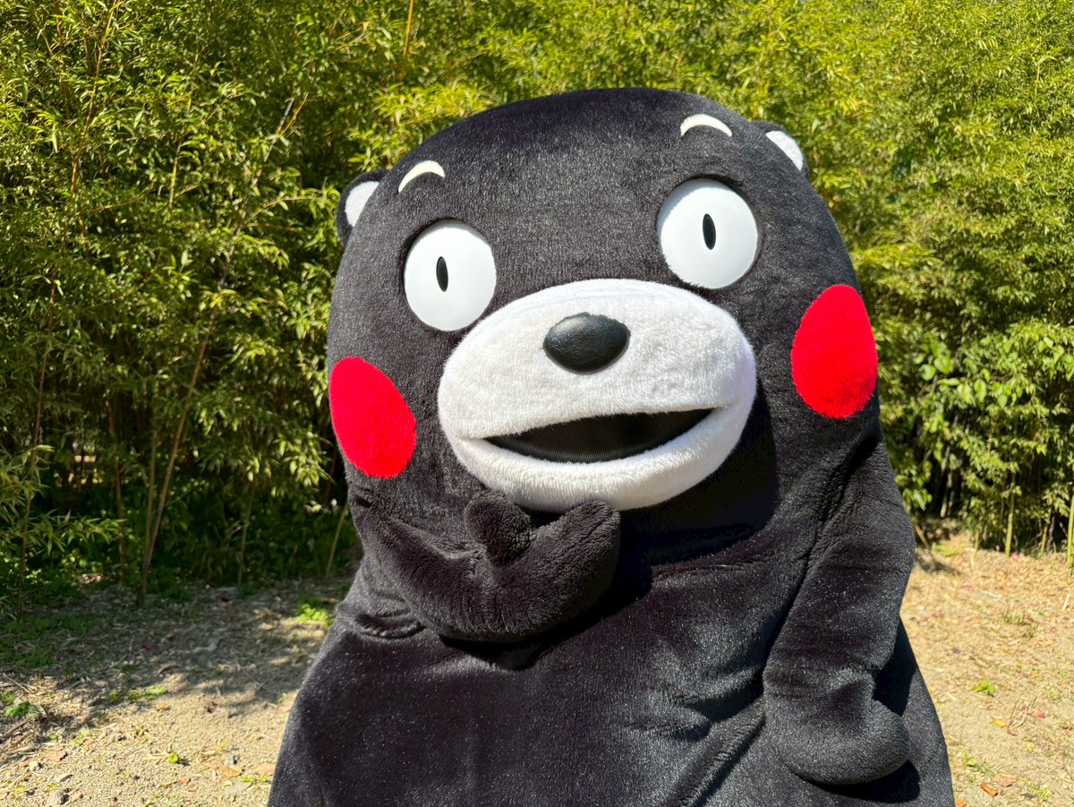 くまモン【公式】 (@55_kumamon) / Posts / X