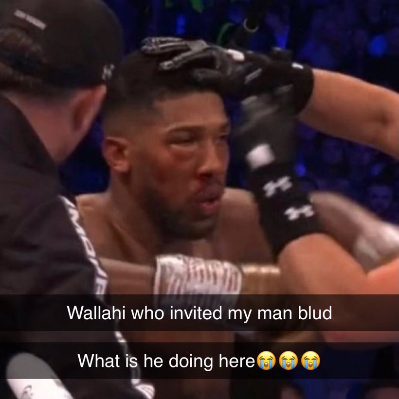 LMAOOOOOOOOOOOOOOOOOO
I beat Malenia and this mf thinks he’s the final boss😭