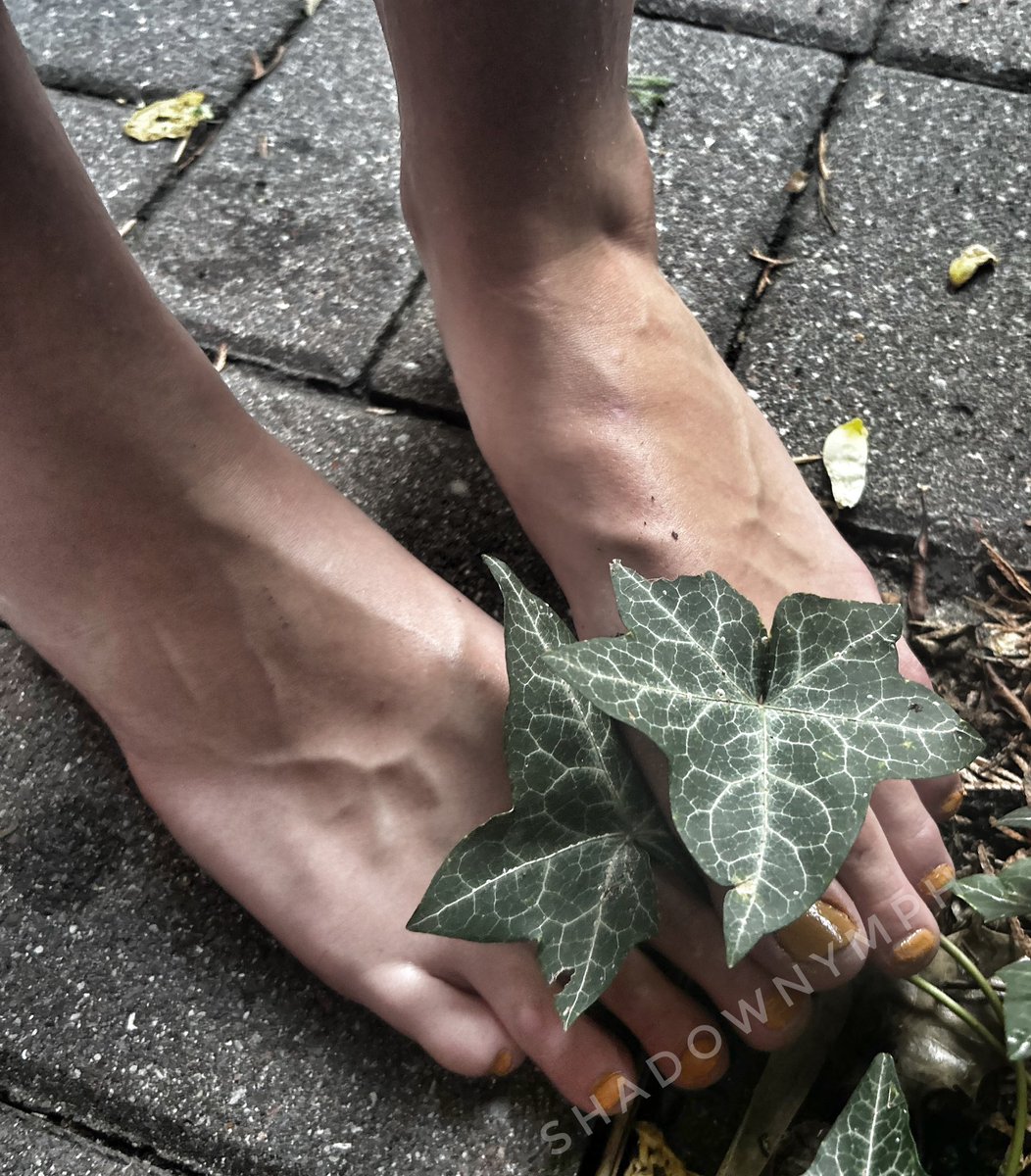 nymph_shadow's tweet photo. Quiet.
Natural.
Still under my control.
Not everything that looks innocent
actually is. 🍃👣
#NatureAesthetic #EarthyVibes #SoftDark #MinimalErotic #Sensory #SlowBurn https://t.co/4PXVnSFWMe