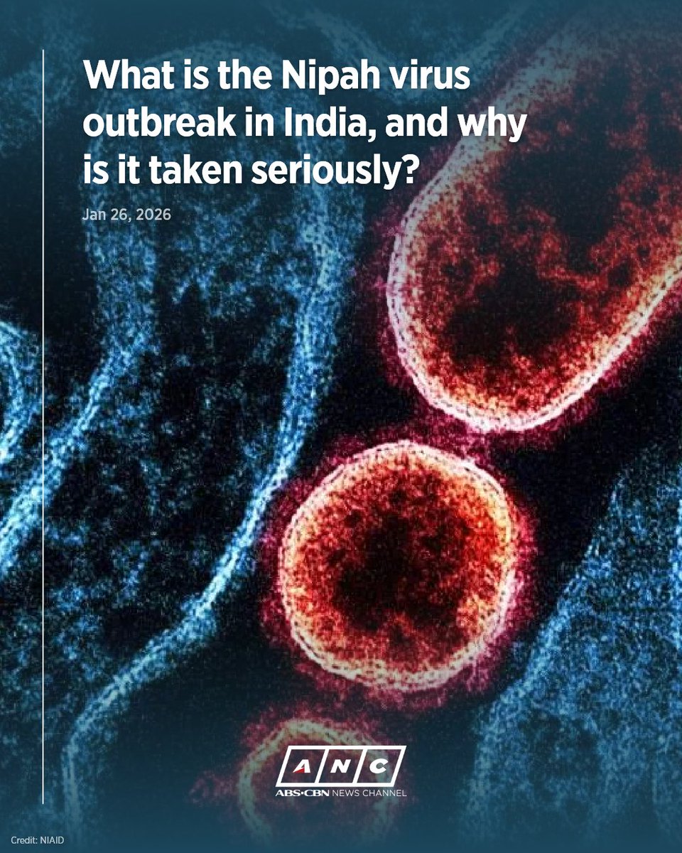 A doctor warned that the fatality rate of the Nipah virus is extremely high, and that early symptoms of infection can resemble common illnesses, making detection difficult.
 
However, the Philippines is prepared following its updated guidelines issued just three years ago.