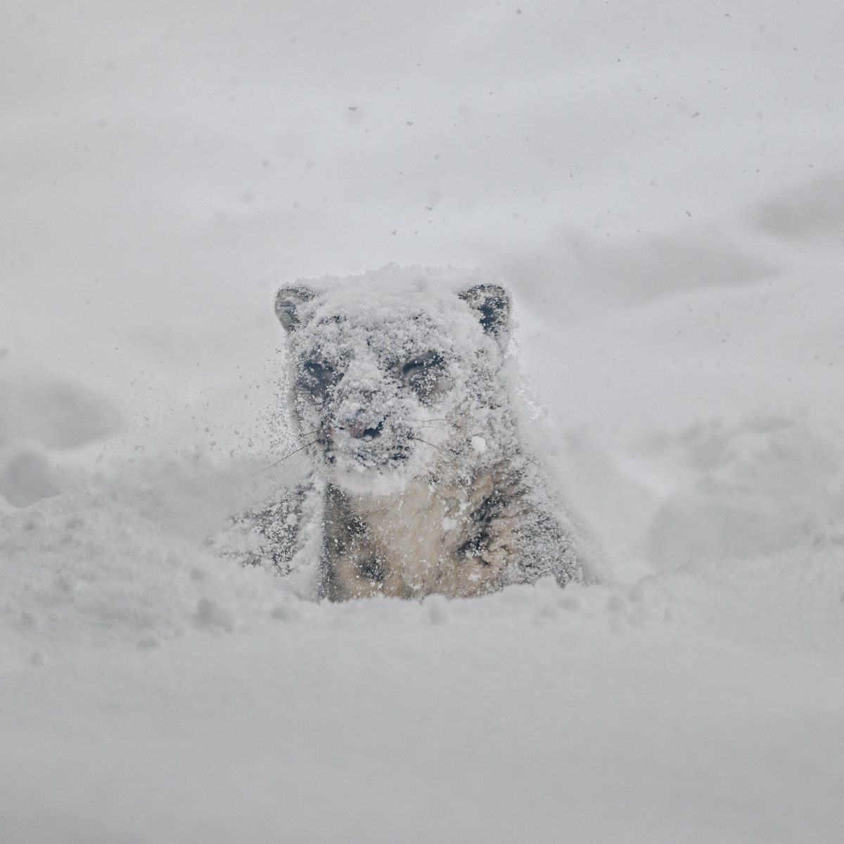 ᤊιⶬιⶬᤊ〰︎可愛ɭ ɿ𓏭𓏭 ˓ ݂𐄢˖⃰𛰙𓏺۫ੵ𓏺ٜ۪𓏺𞣖̥ଝ⃠̴̵॔𓏺ູ