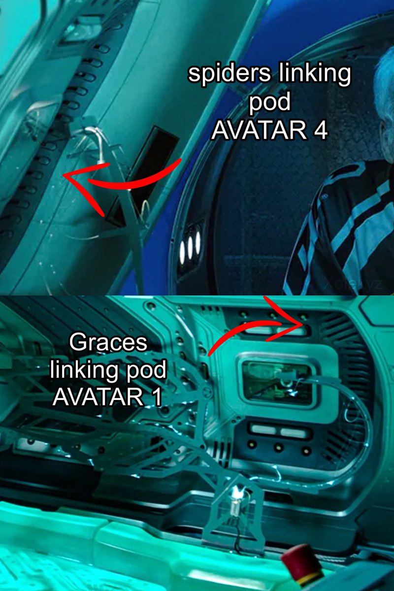 Oh my god spider avatar is happening