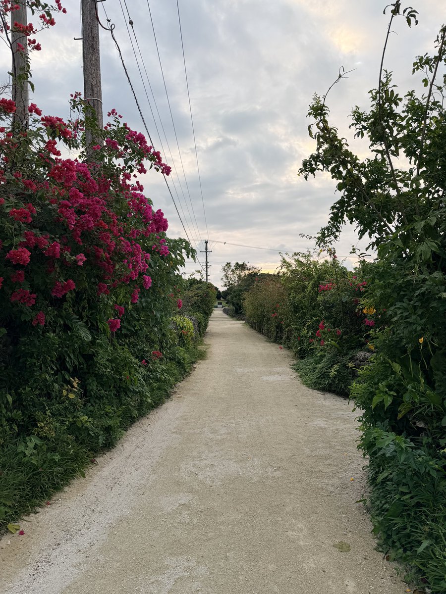 take_pikaryaa's tweet photo. 雨上がりの竹富島
静かで落ち着くよ♪ https://t.co/A3u33mJGHy