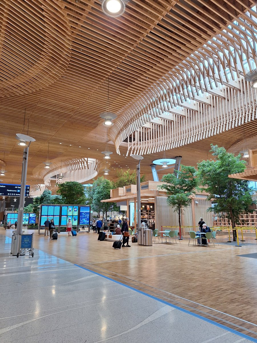 Shelly HW 🏄♀️🐁🐝 (LifeataSwell'sPace) tweet media