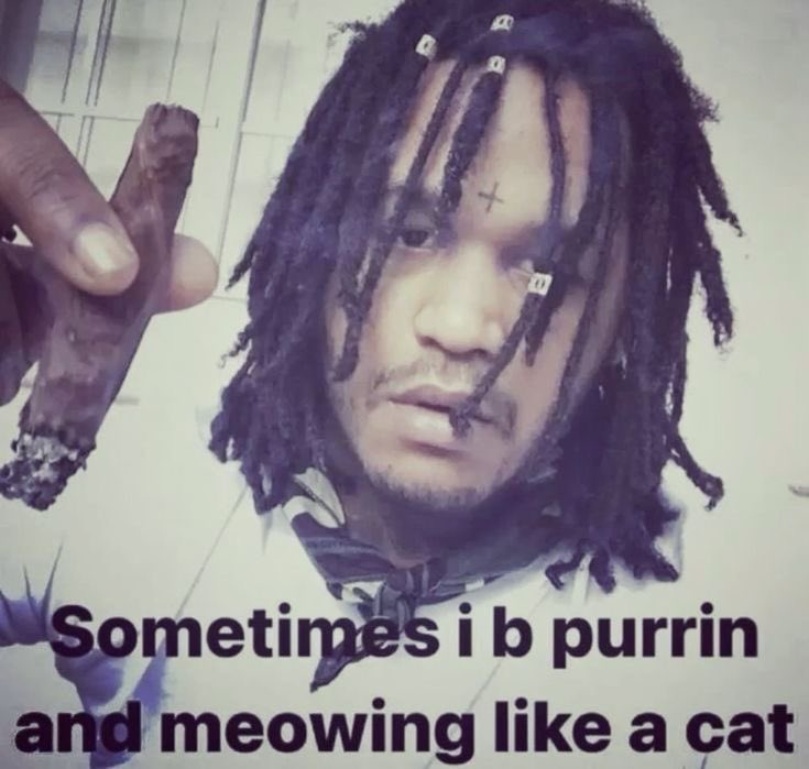 pixi3gf1's tweet image. 