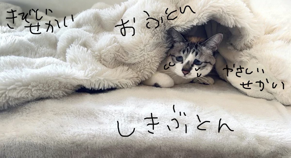 みんちゃんとやさしいせかいにずっといたいよ