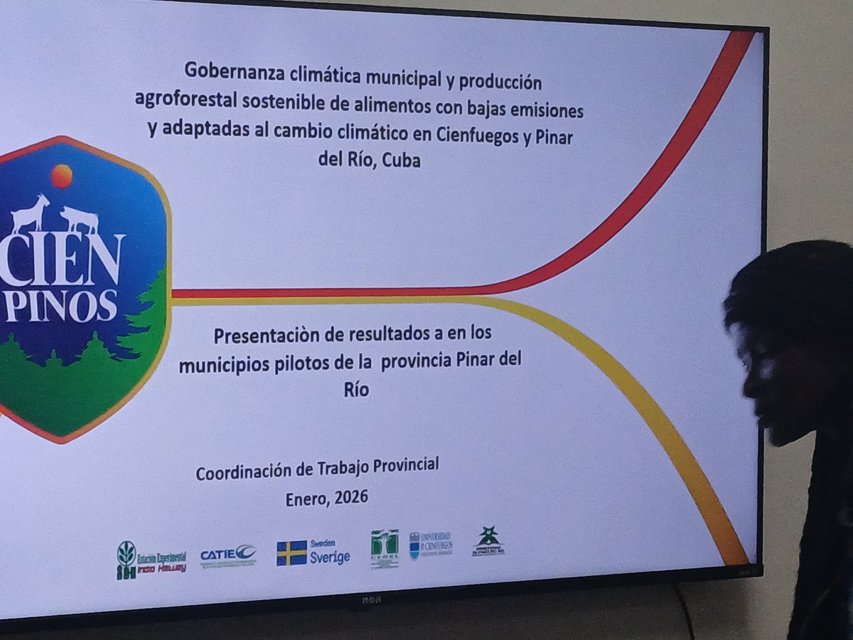 CIENPINOS tweet media