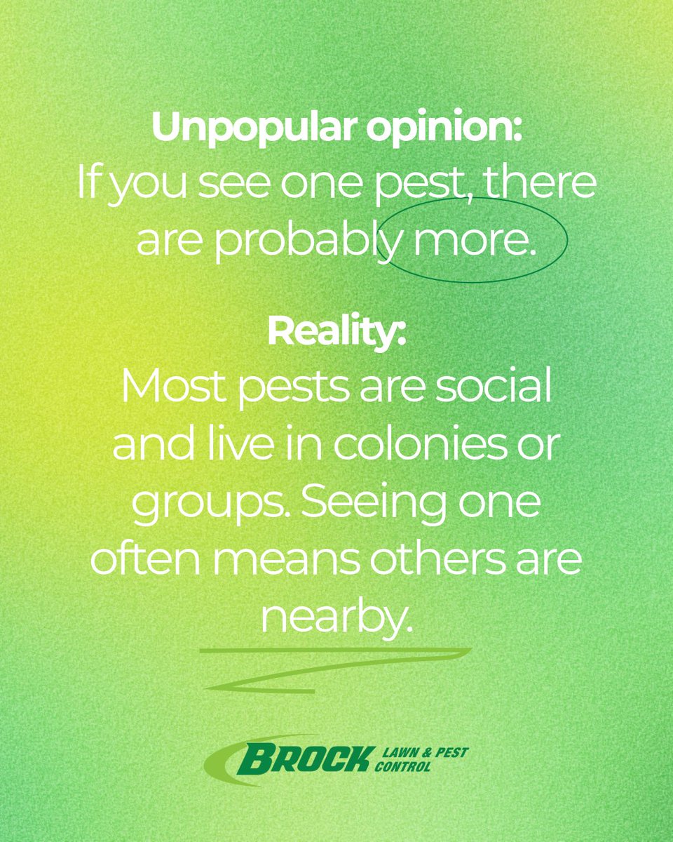 Brock Lawn & Pest Control tweet media