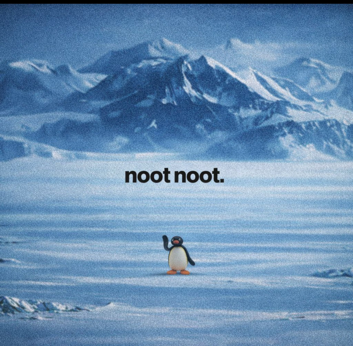 CRYPTO VAULT tweet media