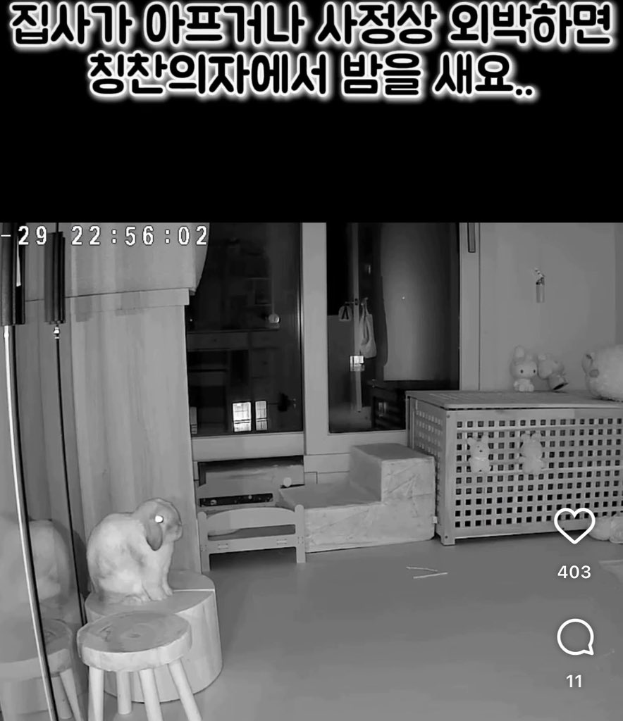 민트 덤덤충인줄 알앗는데 은근 멘헤라네