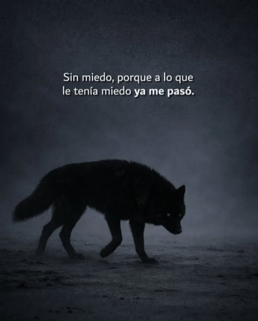hombres's tweet photo. https://t.co/HbrEVKi91g