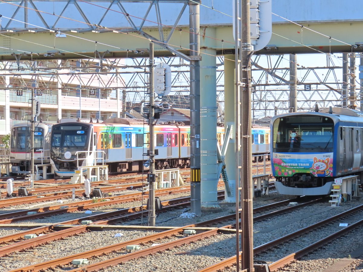 ハマちどり (@chidoricho122) / Posts / X