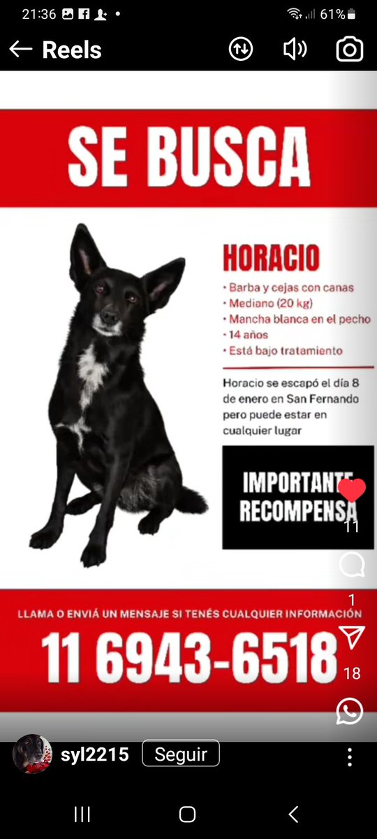 HORACIO ESTA PERDIDO🥺🙏🙏SE ESCAPÓ EN SAN FERNANDO ,BS AS💔 SI LO VEN RETENER Y LLAMAR A SU FAMILIA👇👇👇
📱1169436518