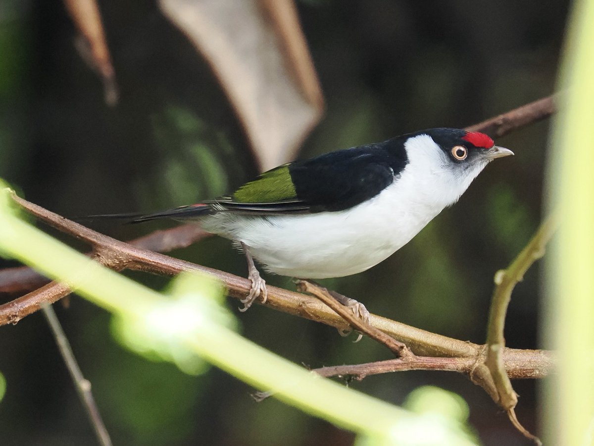 Rob Rackliffe tweet media