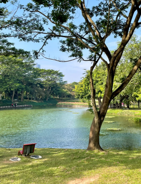 Basking in the afternoon glow, one bloom at a time. 🌸