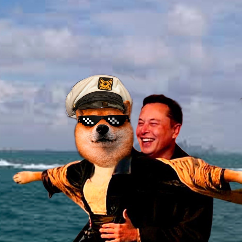 Every platform has a mascot. X has a captain. 

I lead, others ride, and we keep moving forward.

I don’t follow momentum. I create it.