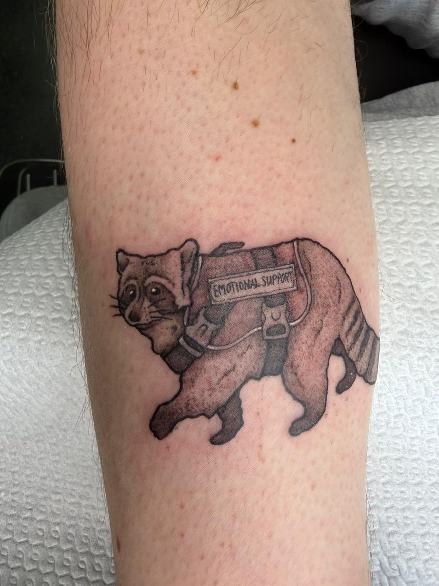 Your Friendly Neighborhood Spider-Chair♿️ tweet media