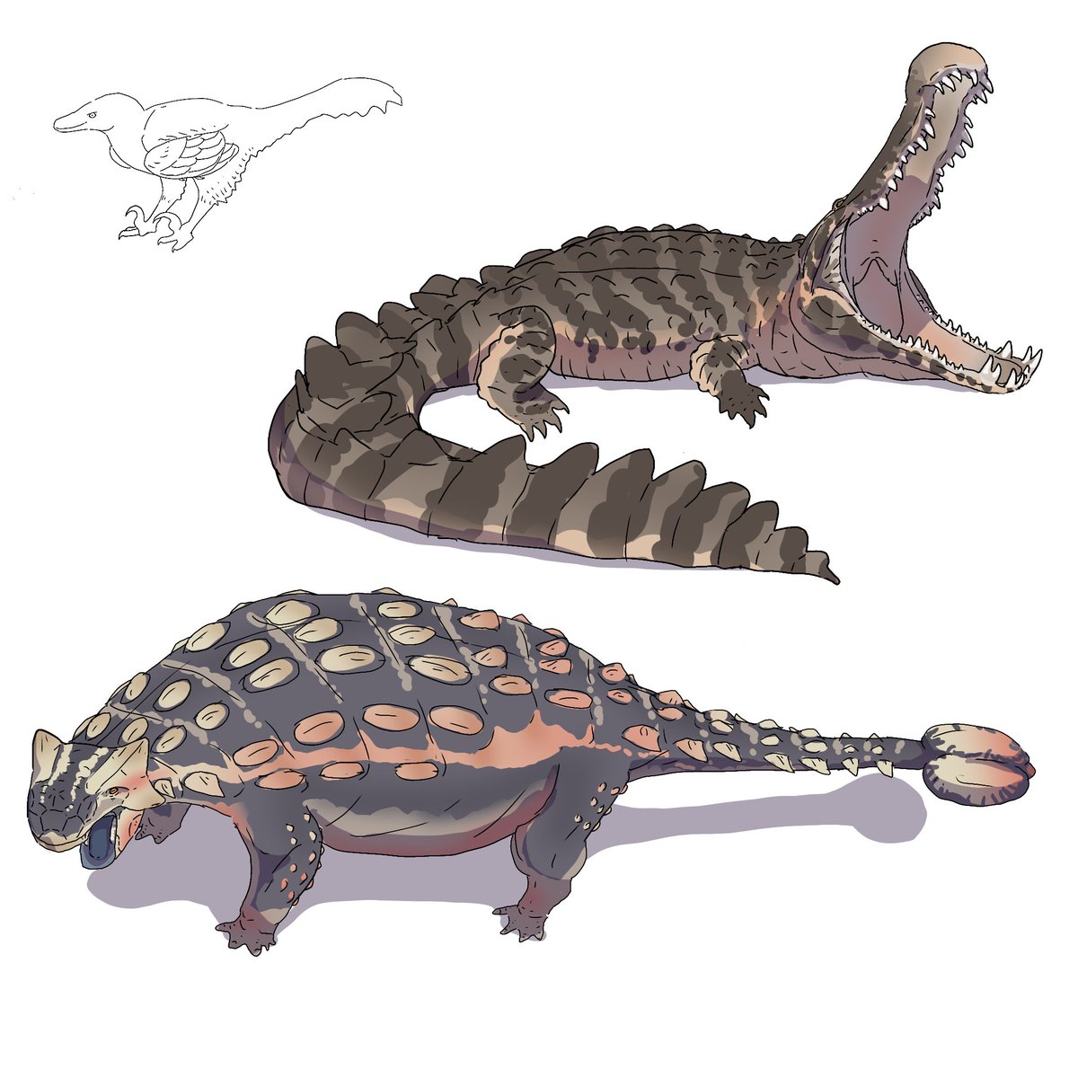 今年もアオバズク来る❢ 2024.6.2 今年もアオバズク来る❢ 2024.6.2 今年もアオバズク来る❢ 2024.6.2