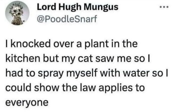 Eric Alper 🎧 (@thatericalper) on Twitter photo 