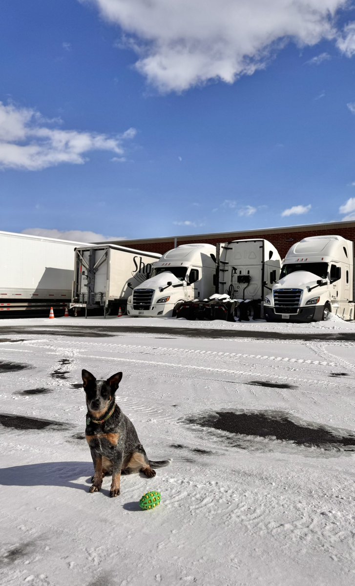 Showtime Sound LLC tweet media