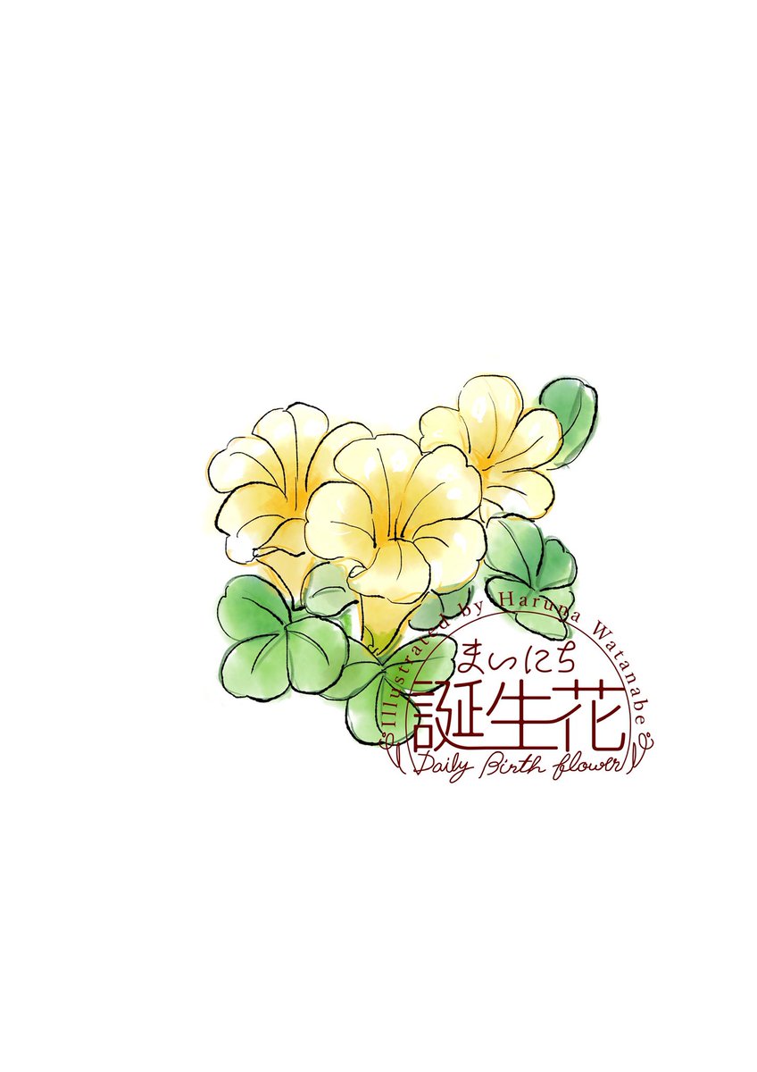 「1月27日 オキザリス 花言葉 輝く心 #1日1絵 #まいにち誕生花」|渡邊 春菜のイラスト