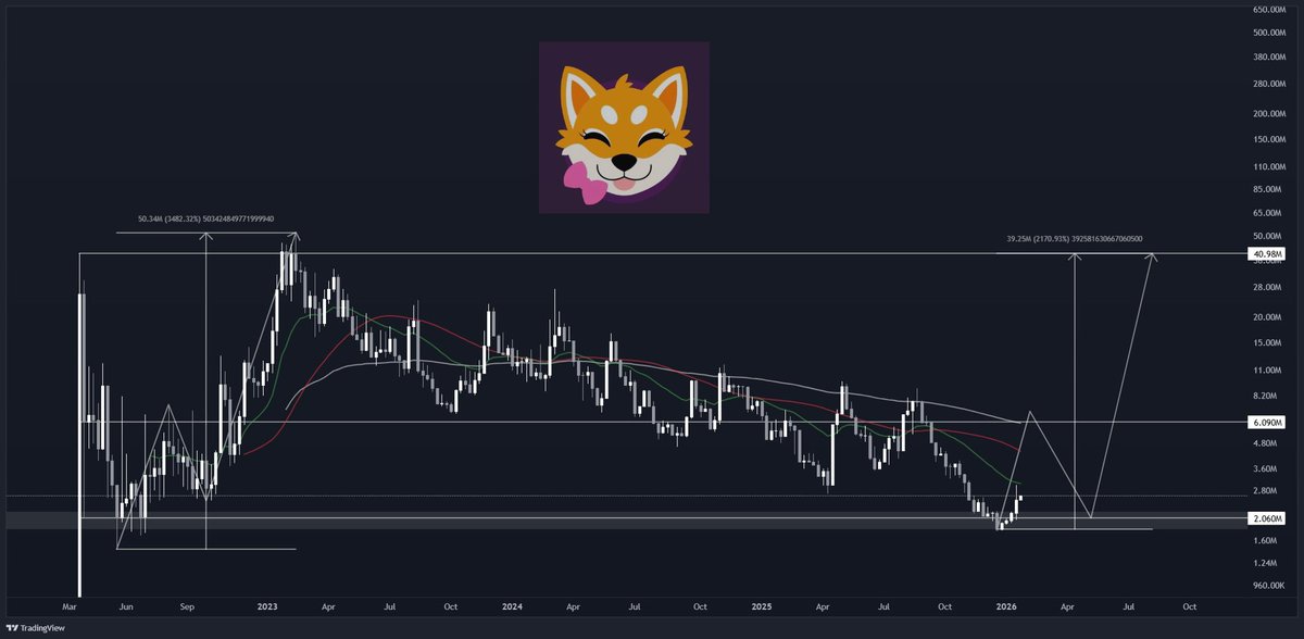 Dan⭕️Shi tweet media