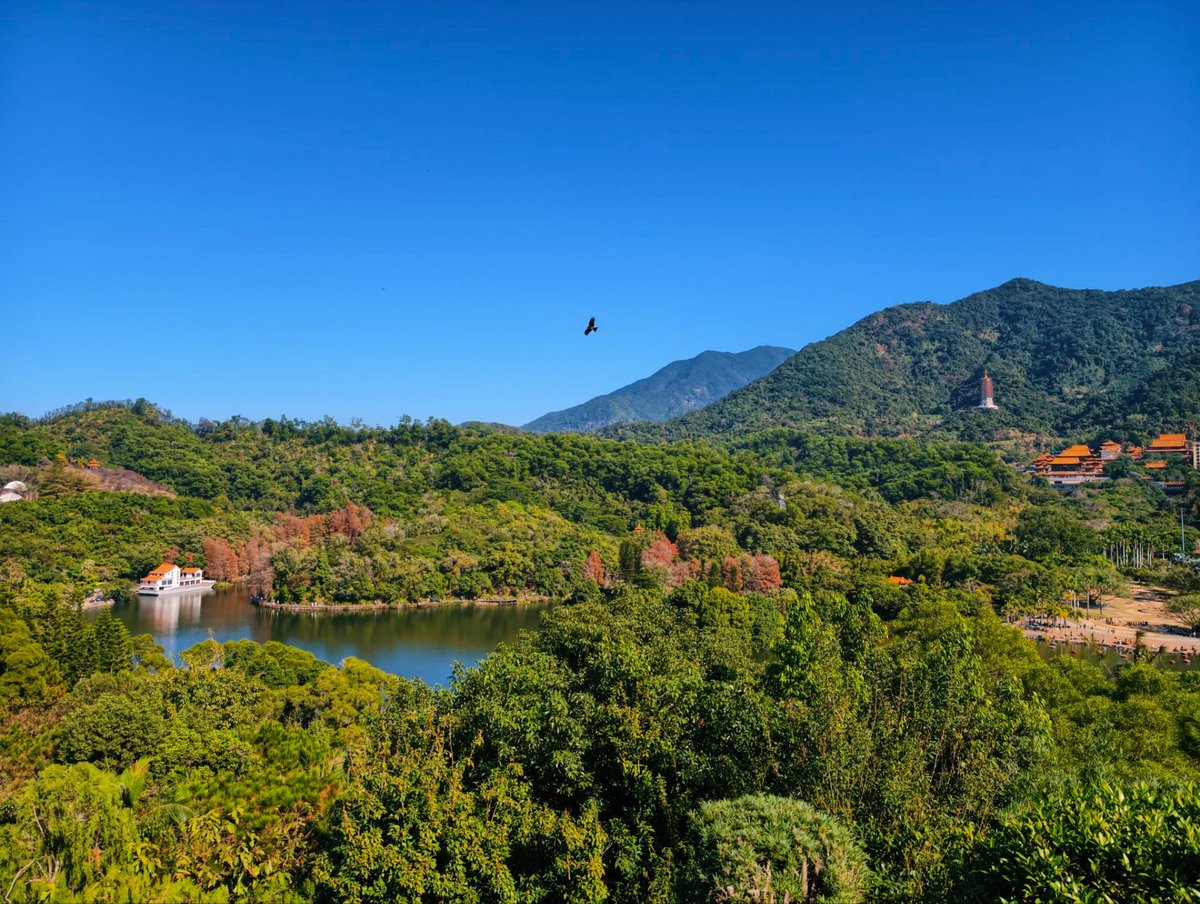 q/大发快三如何预测下期☆【谷歌百度代发QQ：⒓58⒐096】☆扑克王真人娱乐☆【谷歌百度代发QQ：〥2Б⒎7OБ〥】☆11选五5拖胆表☆【谷歌百度代发