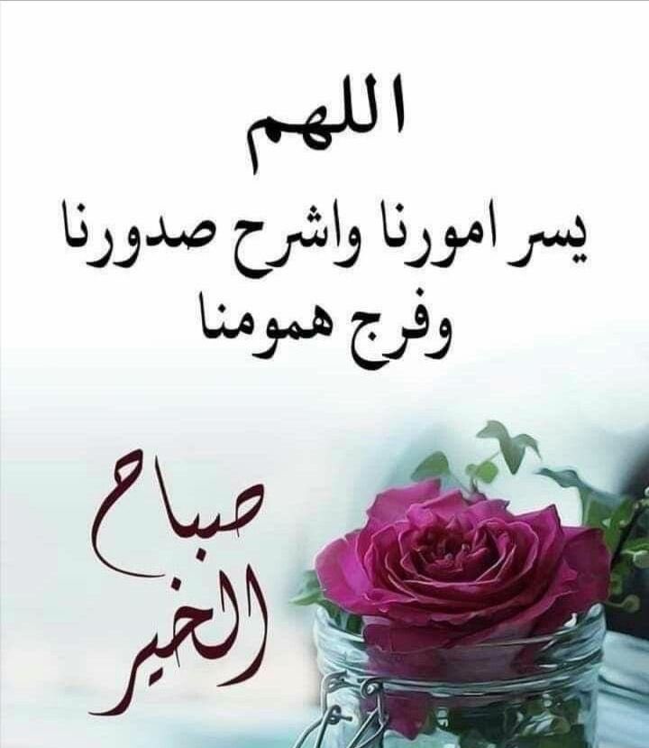 محمد عبدالله احمد الفالح ابو عبدالله (@mohammadalf2017) on Twitter photo 