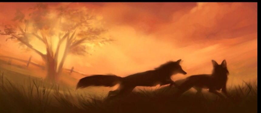 tinyguydotcom's tweet image. ── ✩ open me .ᐟ.ᐟ