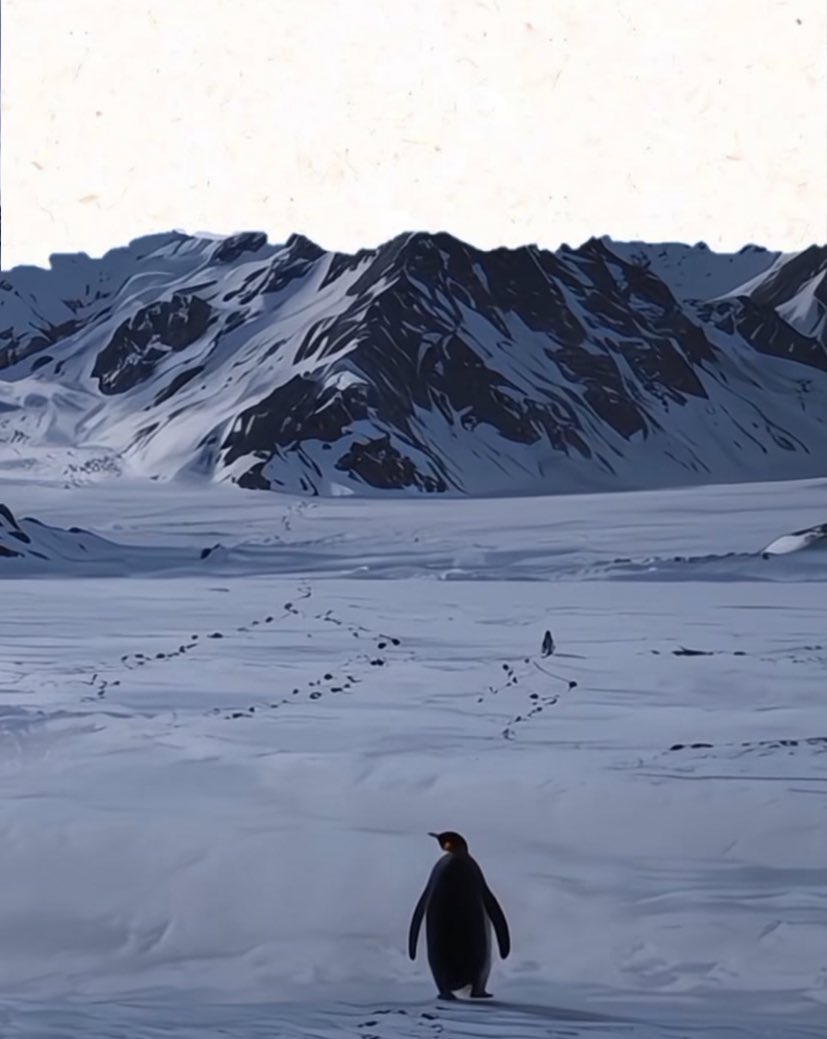 La historia de cómo este pingüino conmovió al mundo, es la prueba del deseo de eternidad, de respuestas y de lo infinito que tiene el hombre.