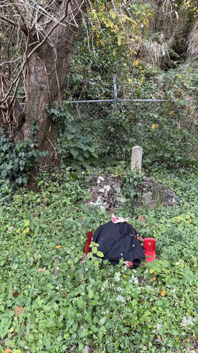 行ってらっしゃい。