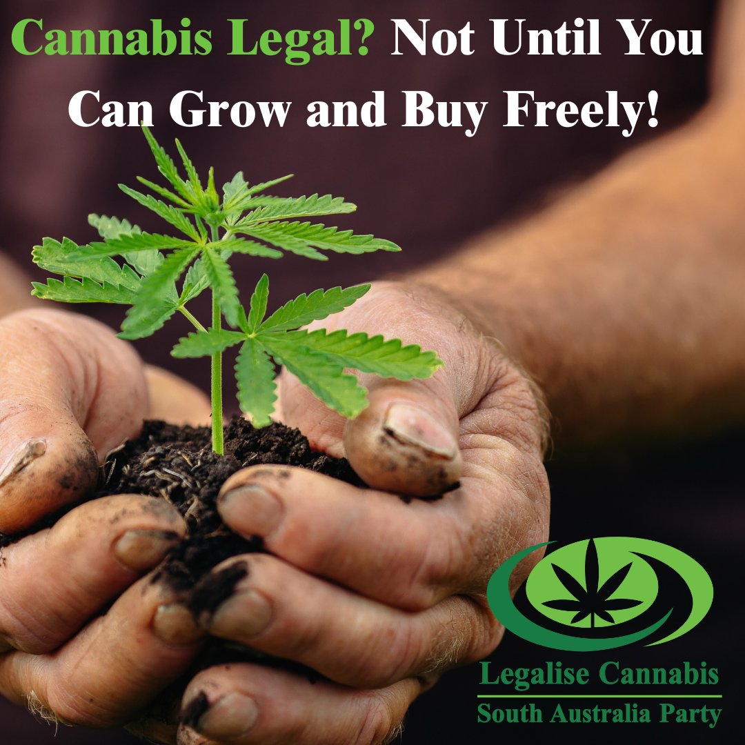 Legalise Cannabis South Australia tweet media