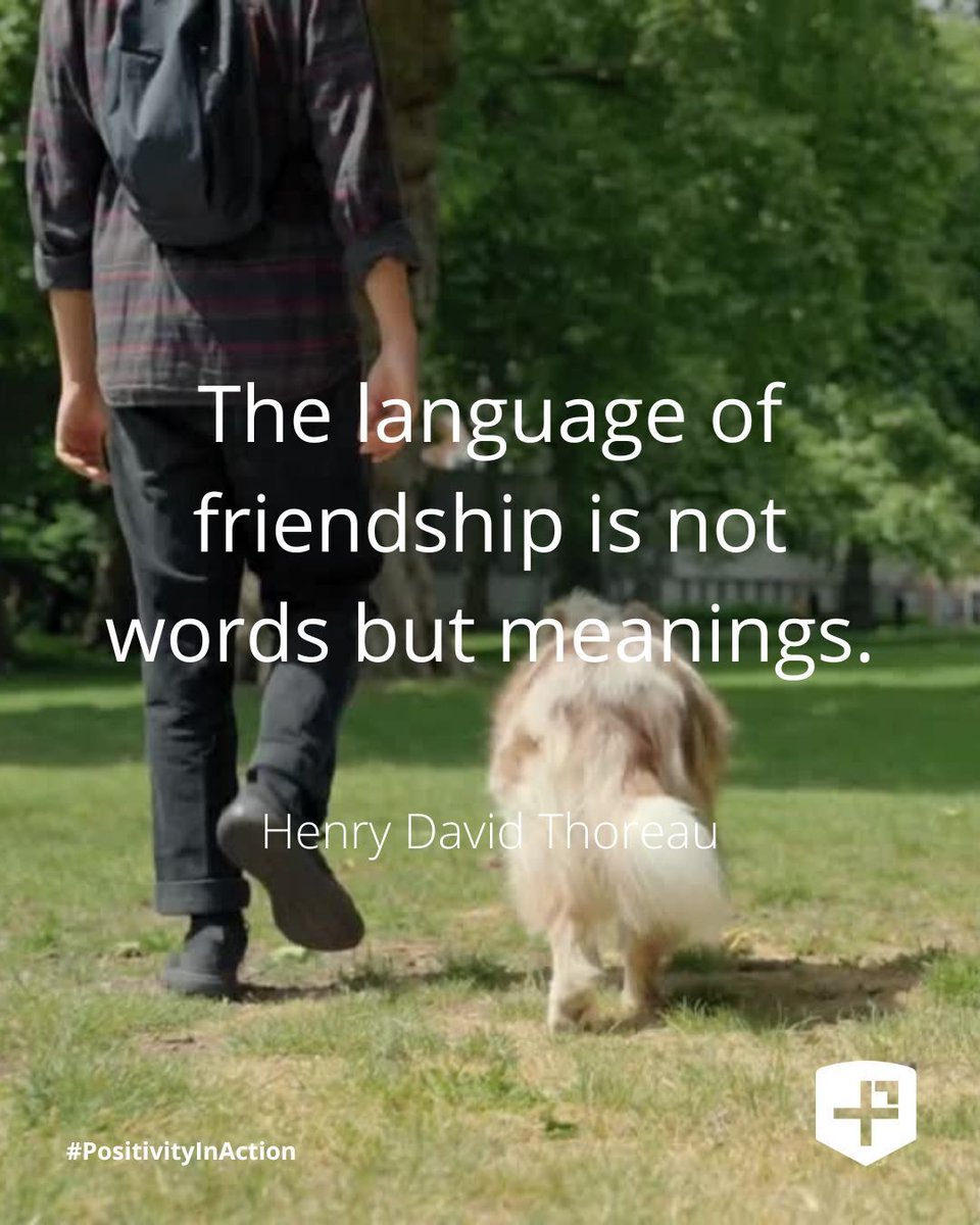 The Positivity Project tweet media