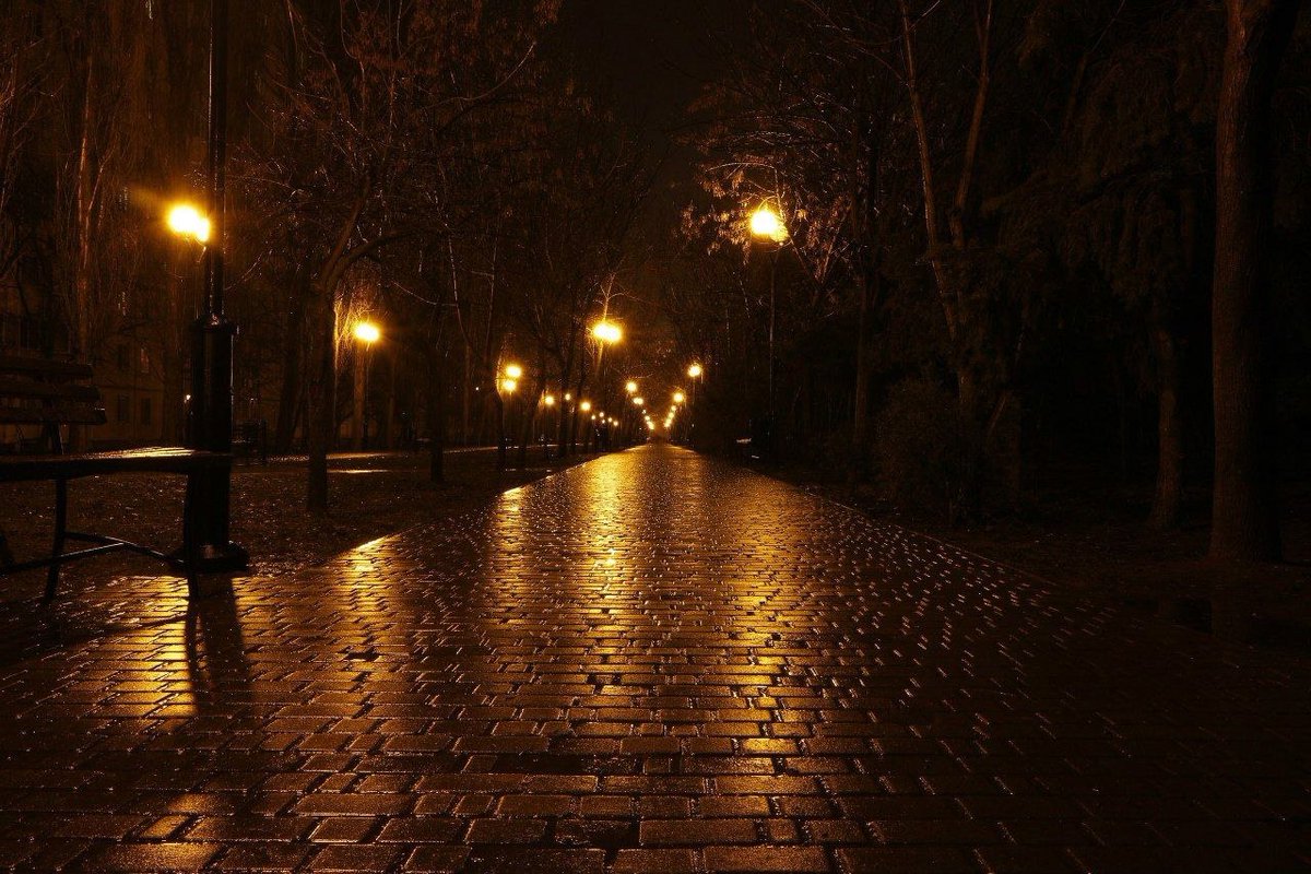 Катерина Галич tweet media