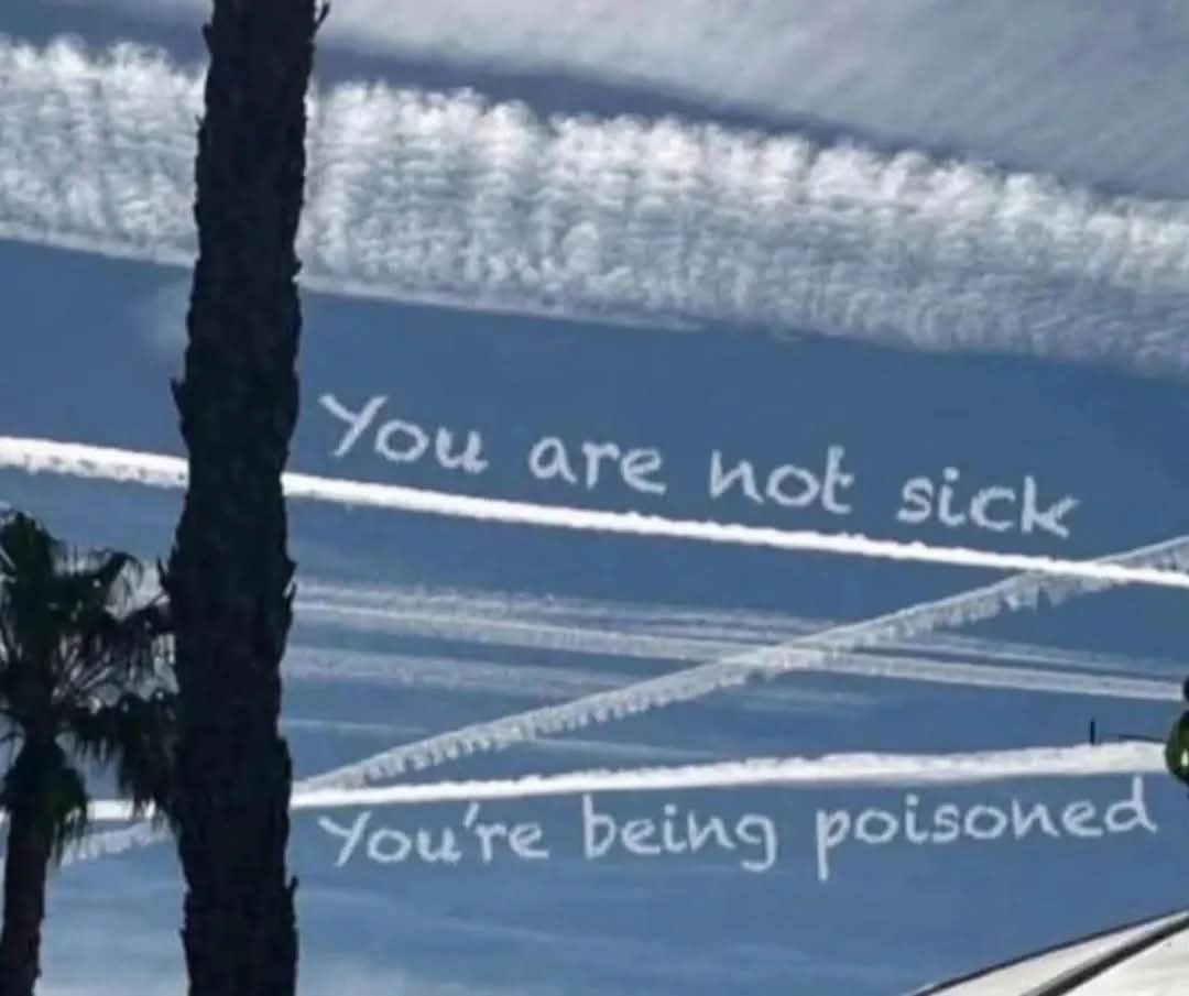 DavidWolfe's tweet image. 