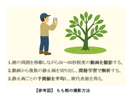 NARO_JP's tweet photo. 2025年 #農業技術10大ニュース TOPIC7
ももの樹の動画を用いてAIが水分状態を診断
―初心者でも簡単、正確にかん水タイミングを判断
詳しくは☟から（2025年月プレスリリース）
https://t.co/b4iTeuAPJI https://t.co/pGaAB8tiMQ