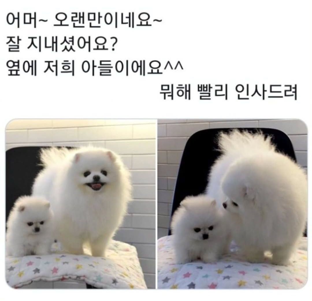 Min Seok Seo tweet media