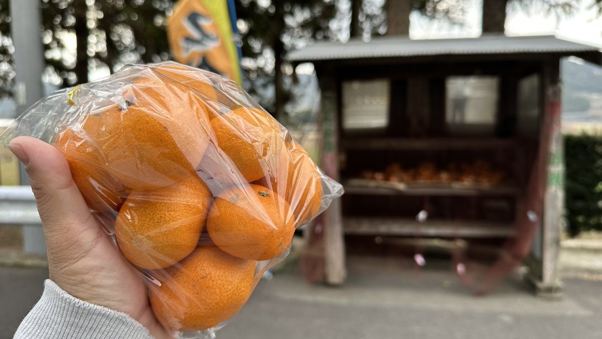 会いたかったぜぇぇぇい😭 100円のみかんんんん😭