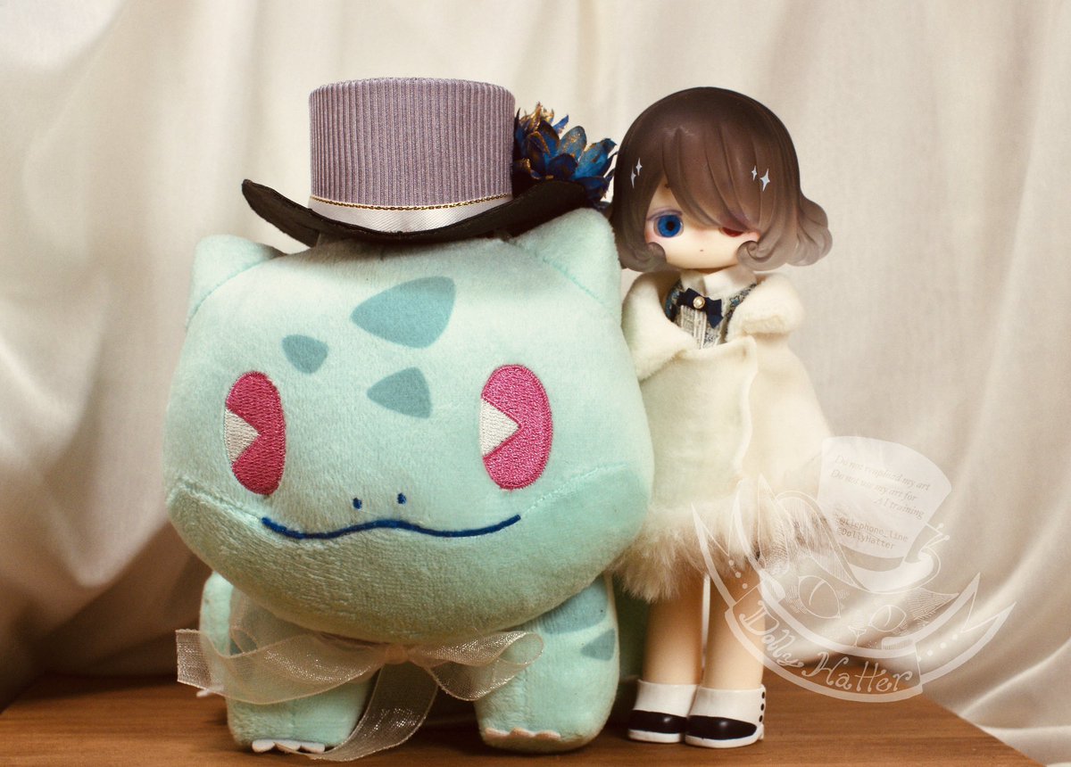 こっちはフシギダネと秘境巡礼ちゃん。
秘境ちゃんは梅子と名付けました。
どっちもかわいい〜