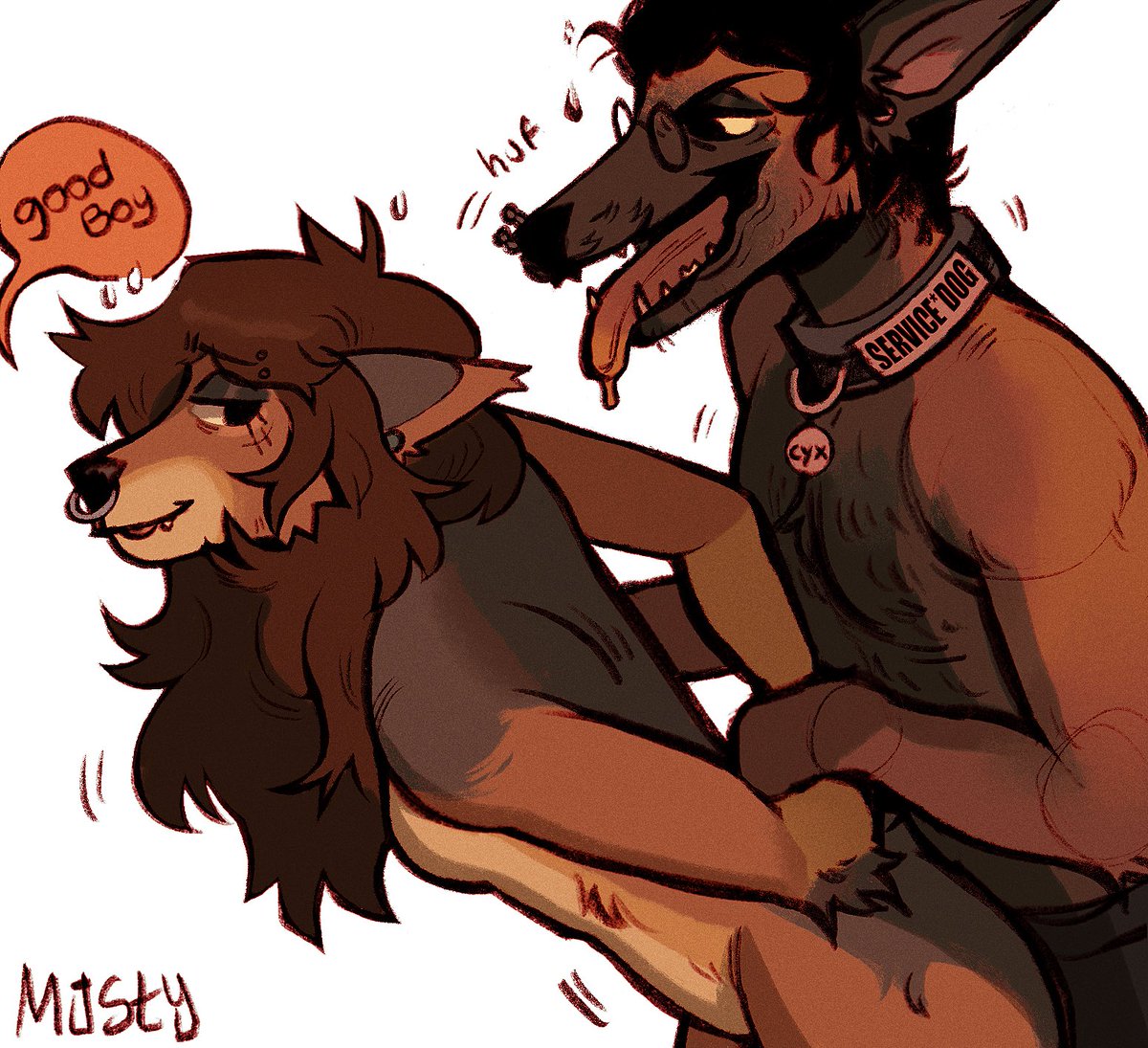 Service dog in training