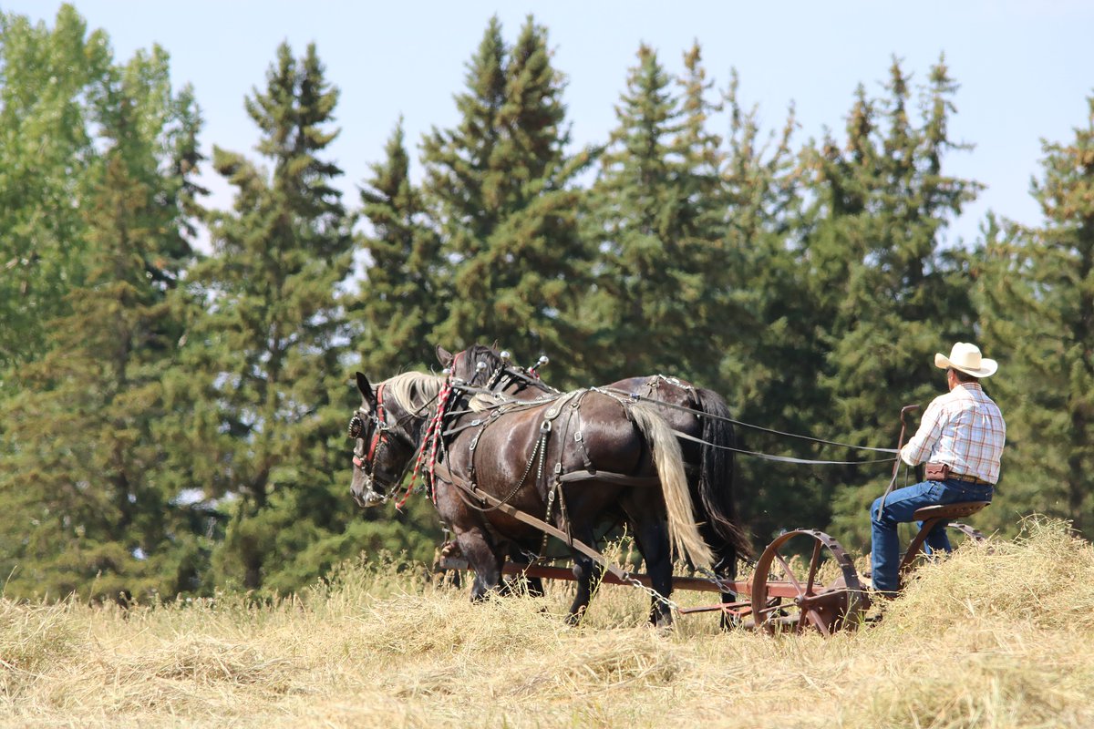 WebsiteBlogger1's tweet image. Can Outsourcing and Freelancing Help Your Website Blog?

Can Outsourcing and Freelancing Help Your Website Blog? Ready to Hire a Freelance Writer? Here's How! Unlock the Benefits of Hiring a Ghostwriter? Unlock the Benefits of Hiring a Virtual Assistant? Unlock the Power of Pr...