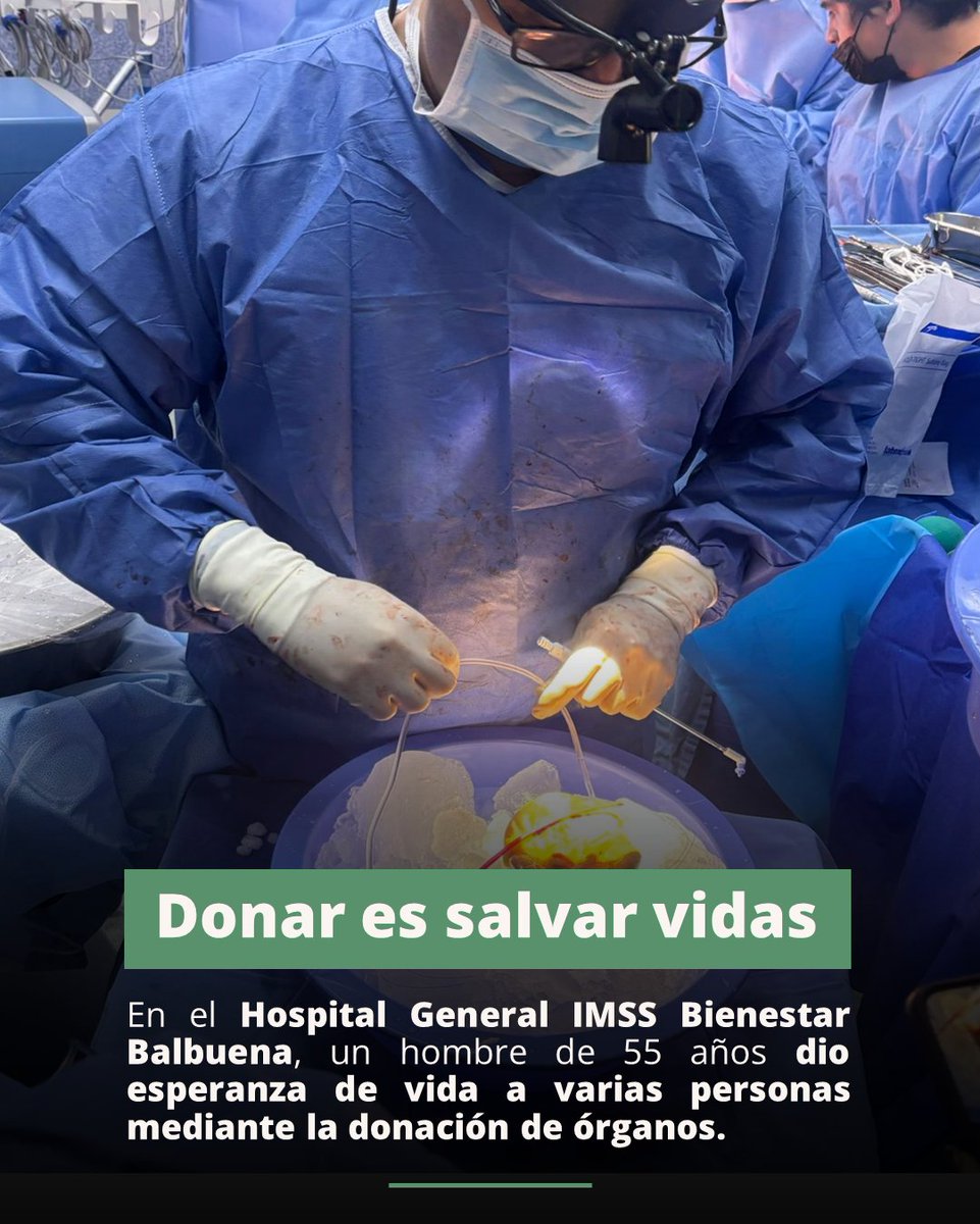 JesusOrtiz43222's tweet photo. En el Hospital General #IMSSBienestar Balbuena, la donación multiorgánica de un hombre de 55 años brindó una nueva oportunidad de vida a varias personas, al permitir atender una urgencia de trasplante cardíaco y una asignación prioritaria de riñón.
❤️ https://t.co/4XxcLWDJd3