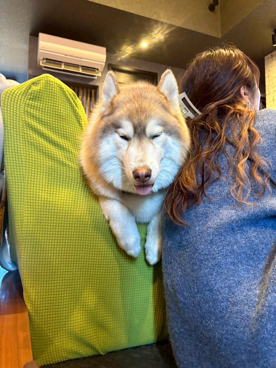 茶々丸チャチャチャ👐 (@chacha_maru1113) / Posts / X