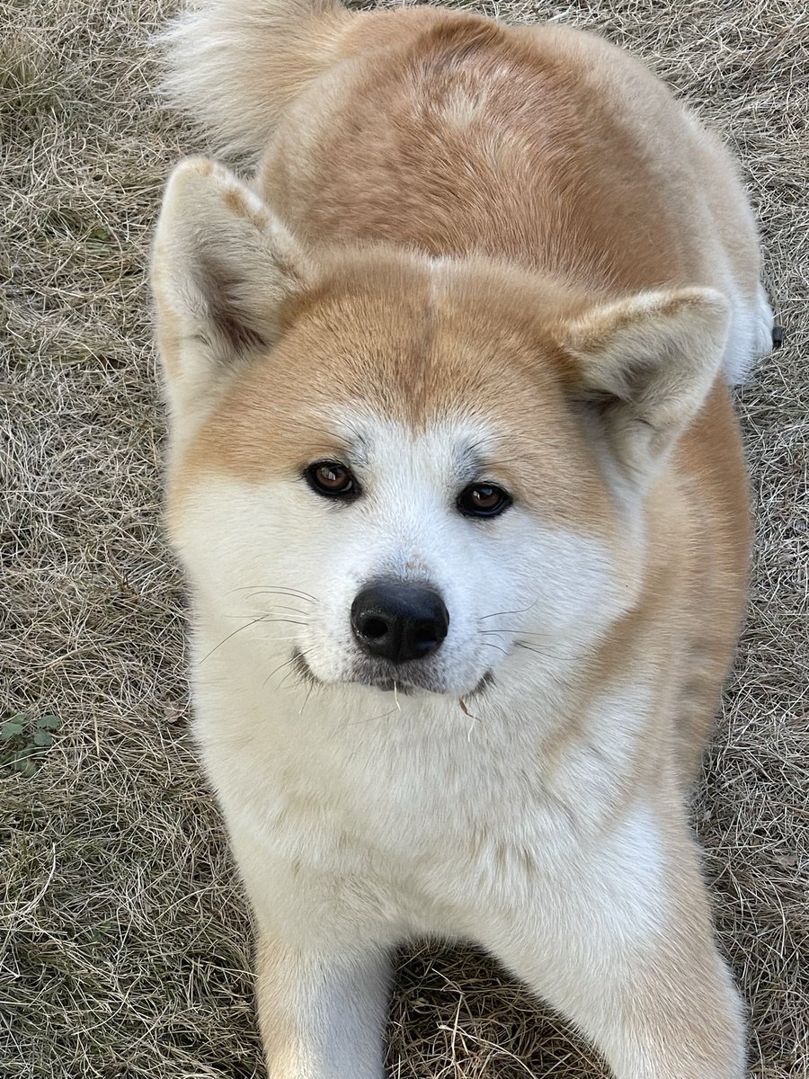 ْ (@65907_30_4) / Posts / X