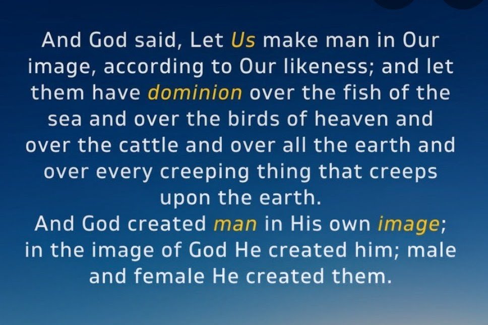 DocStowers's tweet image. "They Said This At Davos" CLIPS👇🏽

-&amp;gt;youtube.com/clip/UgkxhR2UA…

-&amp;gt;youtube.com/clip/UgkxSpajJ…

-&amp;gt;youtube.com/clip/UgkxsA7GZ…

-&amp;gt;youtube.com/clip/Ugkxrhbea… 🔥

-&amp;gt;youtube.com/clip/UgkxWCFBR…

-&amp;gt;youtube.com/clip/Ugkx4QnQe…

-&amp;gt;youtube.com/clip/UgkxrsaUX… 🔥

We are fearfully &amp;amp; wonderfully made

Gen 1:26-27👇🏽