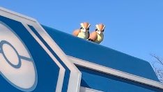 PokeGatos no telhado do Pokemart! E é possível ver pidgeys também. Lindo cada detalhe! #PokePark