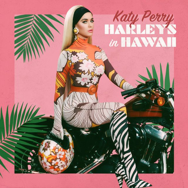 Spotify09943301's tweet photo. Harleys In Hawaii has surpassed 500 million streams on YouTube Music

YouTube Music: 500M
Spotify: 751.5M

Harleys In Hawaii = 1,251,578,224 https://t.co/TwcO6jxiro
