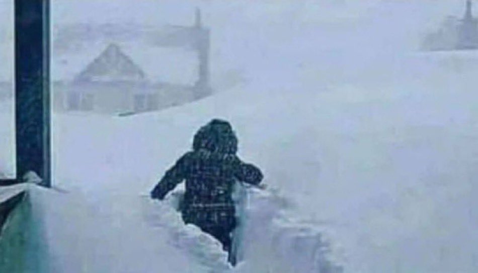 Oh Canaduh tweet media